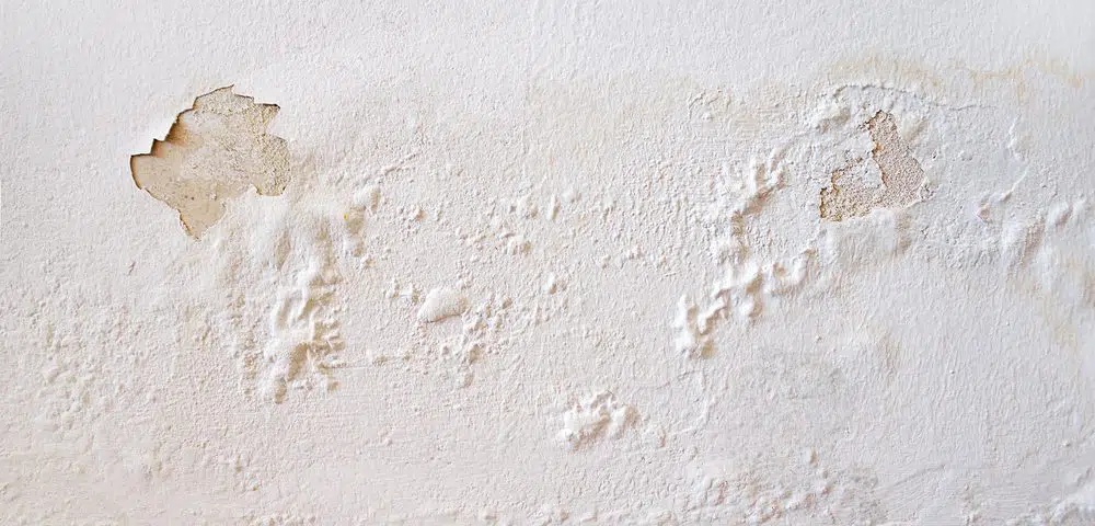 How to Fix Peeling Paint