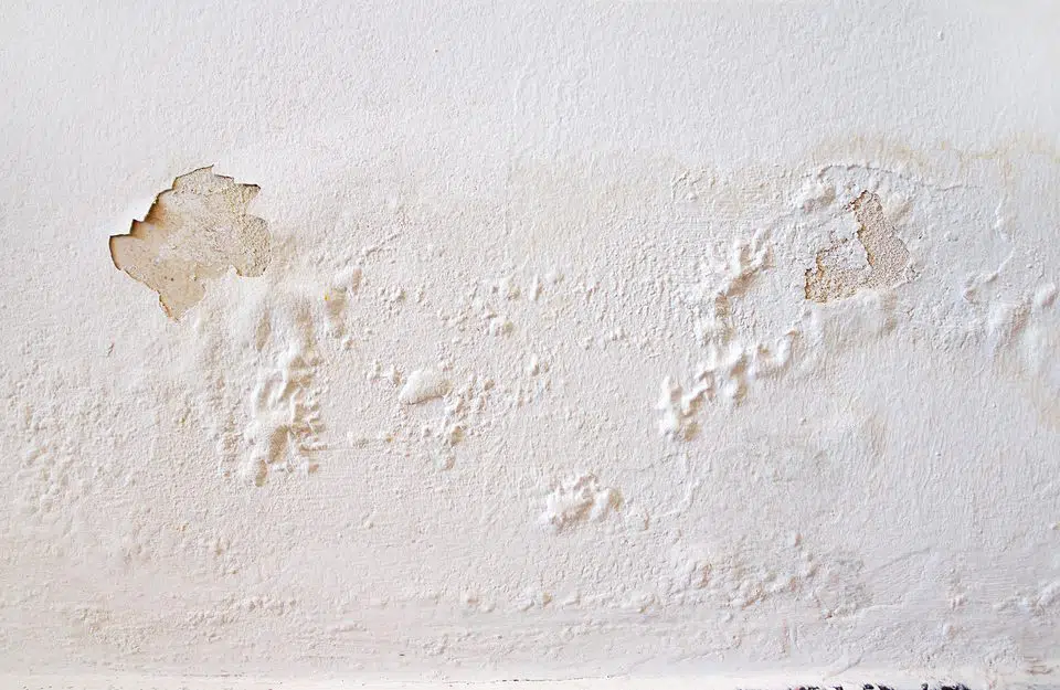 How to Fix Peeling Paint