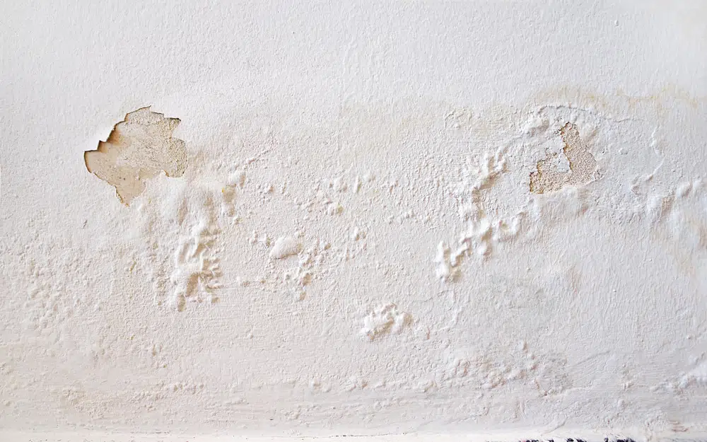 How to Fix Peeling Paint