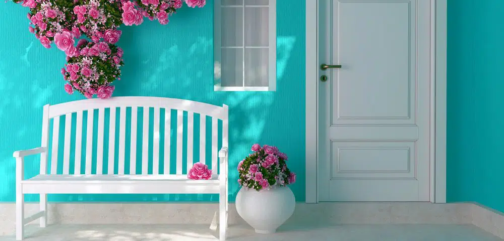 Exterior Door for Painting