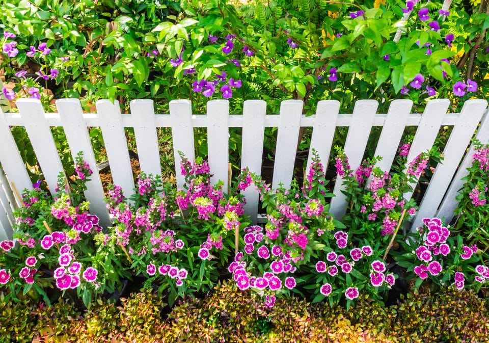 How to Paint a Garden Fence