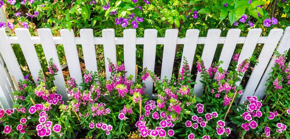How to Paint a Garden Fence