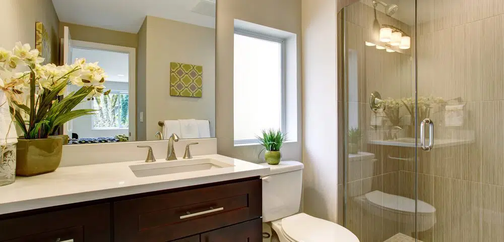 Guest Bathroom Color Ideas