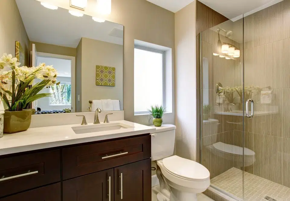 Guest Bathroom Color Ideas