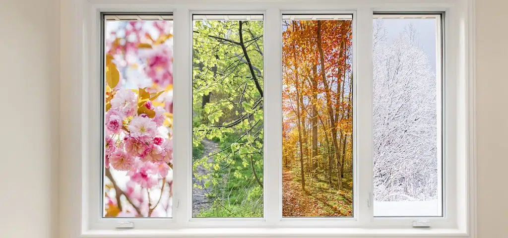 Window view of four seasons