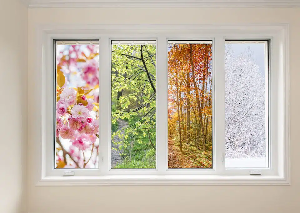 Window view of four seasons