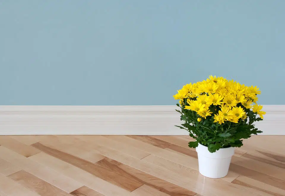 Tips for Painting Baseboards and Interior Trim