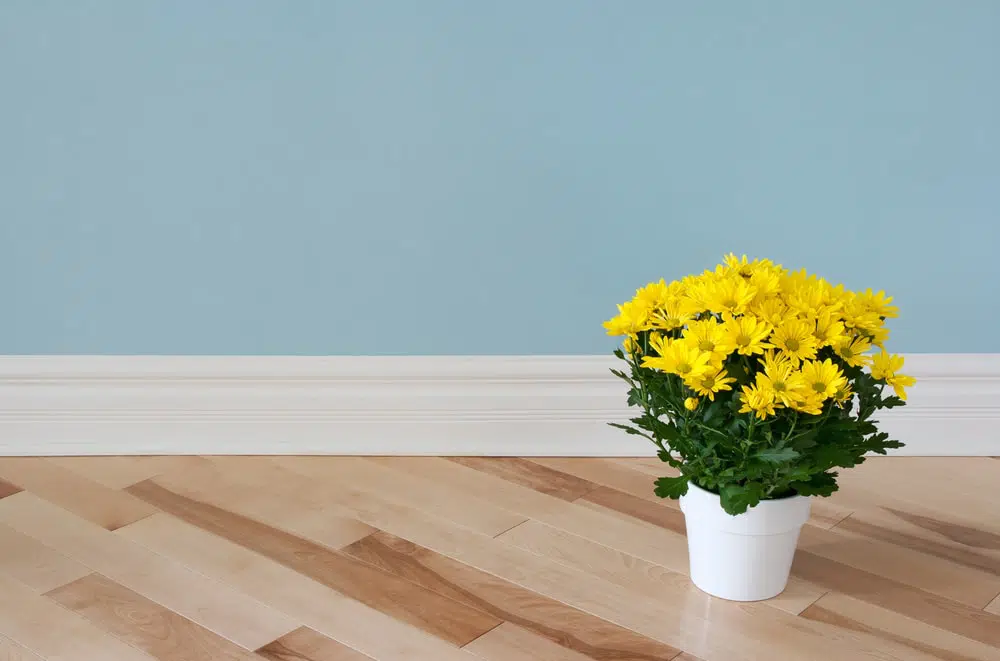 Tips for Painting Baseboards and Interior Trim